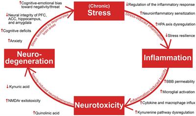 Antidepressant mechanisms of ketamine: a review of actions with relevance to treatment-resistance and neuroprogression